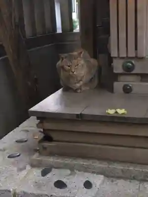 小野照崎神社(東京都)