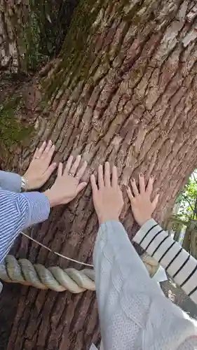 乃木神社(東京都)