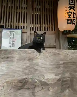 高司神社〜むすびの神の鎮まる社〜(福島県)