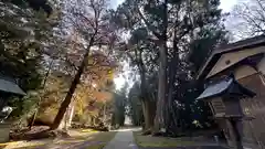 岡高神社(滋賀県)