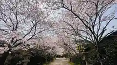 大石神社(京都府)