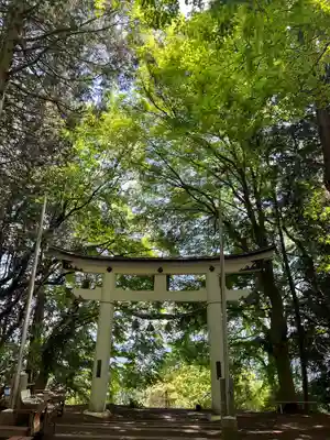 宝登山神社奥宮(埼玉県)