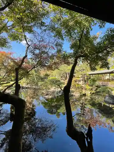 題経寺（柴又帝釈天）の庭園