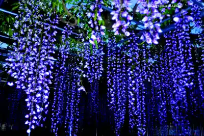 白旗神社(神奈川県)