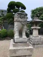 荒井神社の狛犬