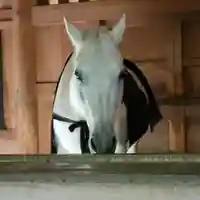 伊勢神宮外宮(豊受大神宮)(三重県)