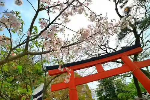 鶴岡八幡宮の鳥居