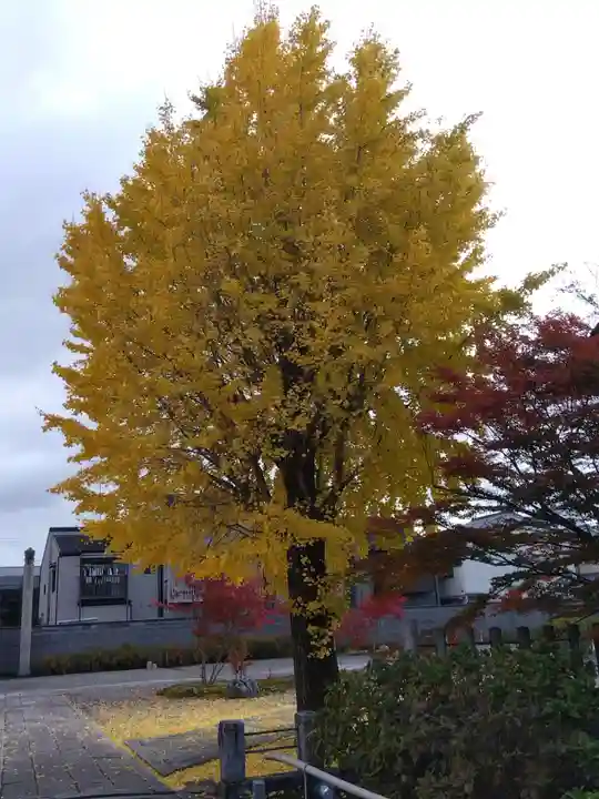 妙覺寺(妙覚寺)(京都府)