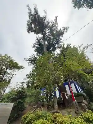 安居神社(大阪府)