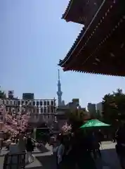 浅草寺の景色