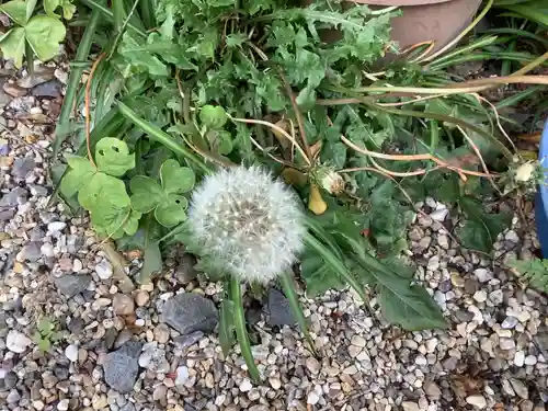三輪神社の自然