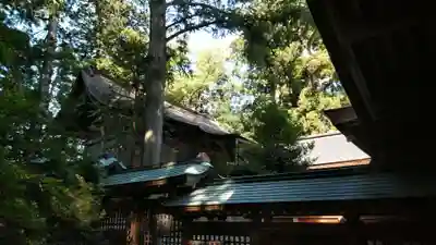 雄山神社前立社壇の本殿・本堂
