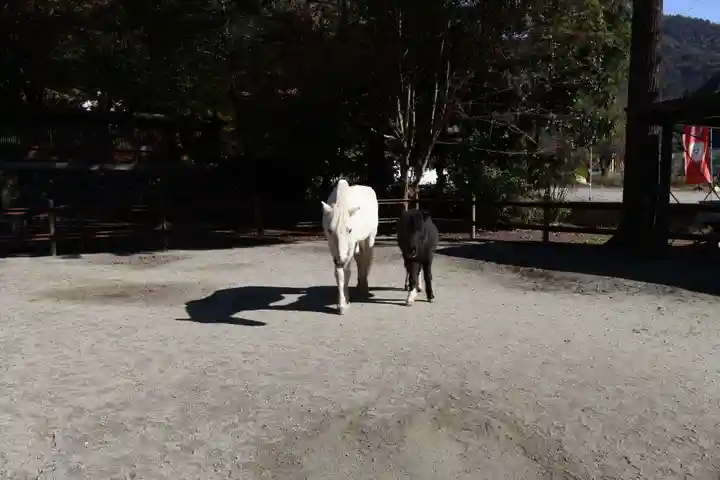 丹生川上神社(下社)(奈良県)
