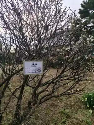 龍泉寺(神奈川県)