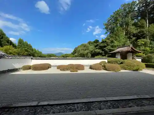 正伝護国禅寺(正伝寺･正傳寺)(京都府)