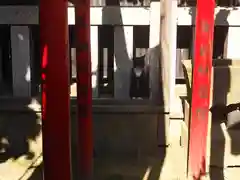 御園神社の動物