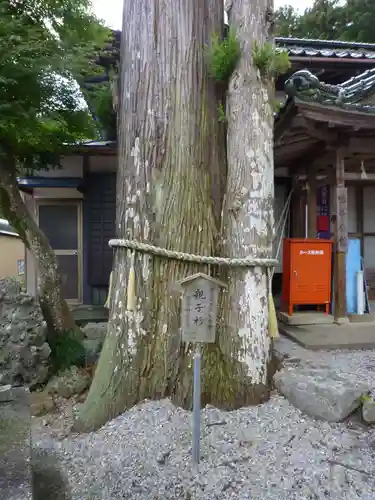 鳴谷神社の自然
