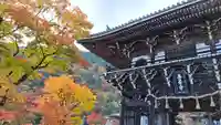 善峯寺の山門・神門