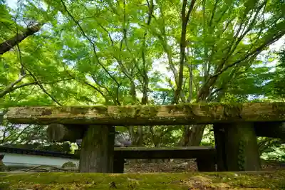 神上寺(山口県)