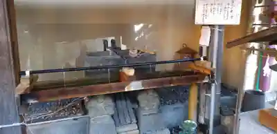 菊名神社の手水舎