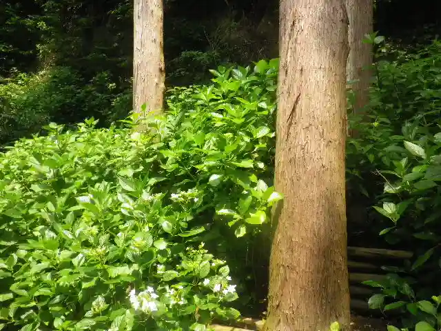 御霊神社の自然