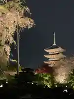 東寺(教王護国寺)の塔