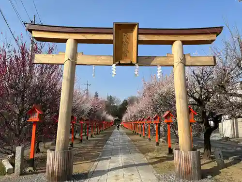 朝日森天満宮の鳥居