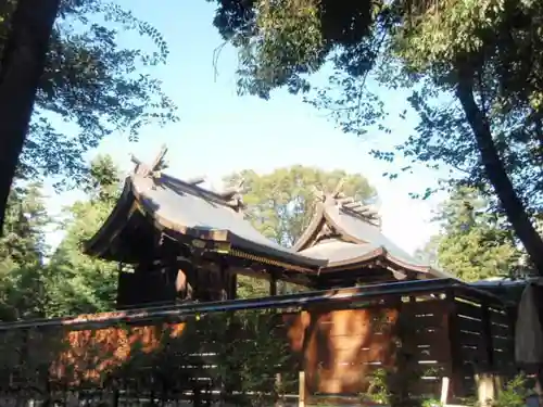 鷲宮神社の本殿