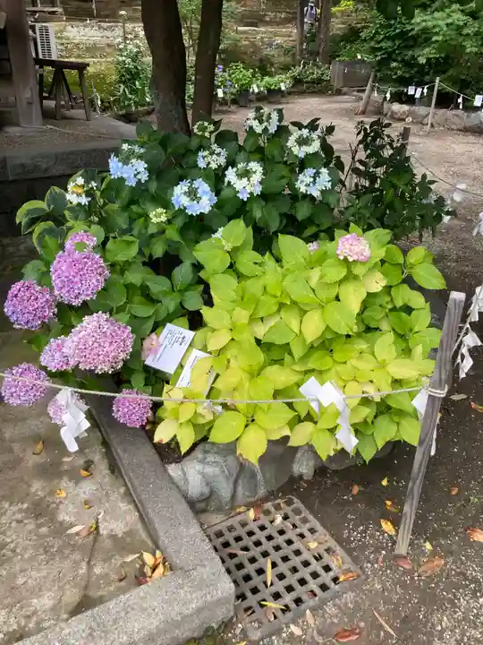 瀬戸神社(神奈川県)