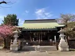 新宿下落合氷川神社の本殿