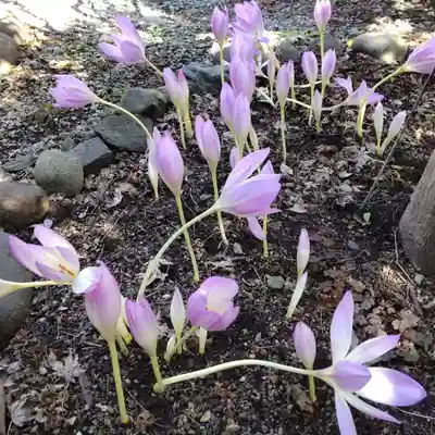 七重浜海津見神社(北海道)