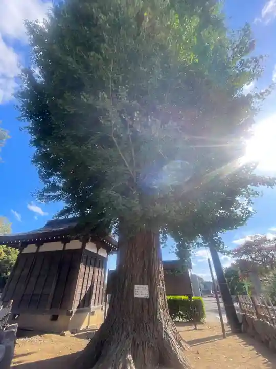 清瀧院(千葉県)