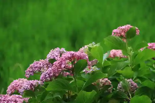 高司神社〜むすびの神の鎮まる社〜の庭園