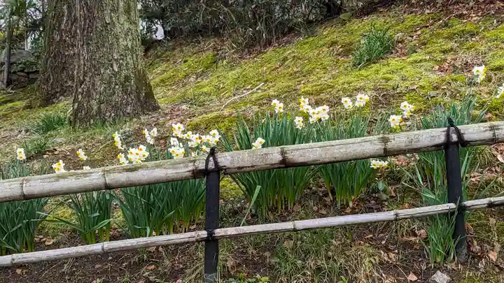 真正極楽寺(真如堂)(京都府)