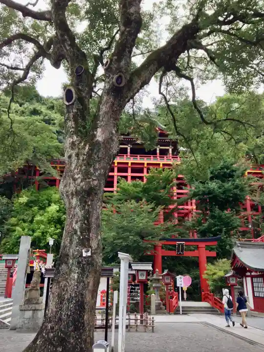 祐徳稲荷神社(佐賀県)