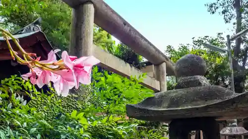 岡崎神社(京都府)