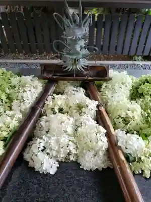 熊野神社(東京都)