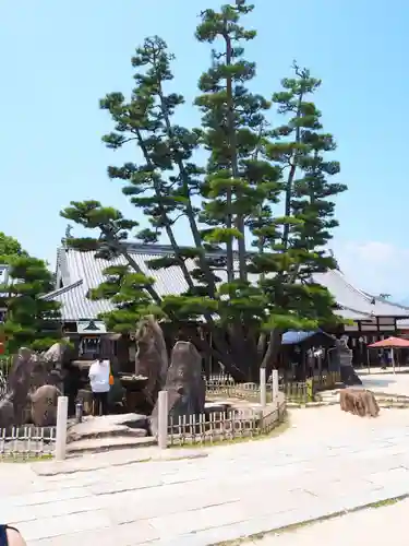 大願寺の庭園