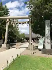 浅草神社の鳥居