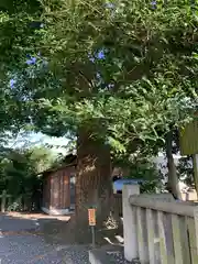 若宮八幡宮（陶器神社）(京都府)