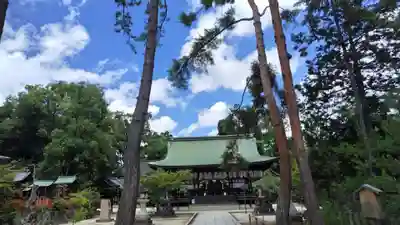 今宮神社(京都府)