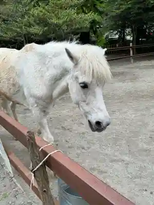 丹生川上神社（下社）(奈良県)
