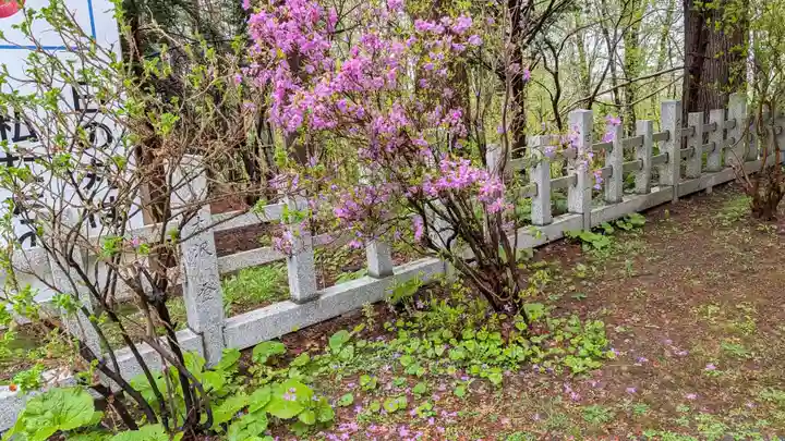 上川神社(北海道)