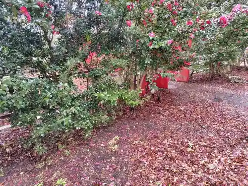 神炊館神社 ⁂奥州須賀川総鎮守⁂(福島県)