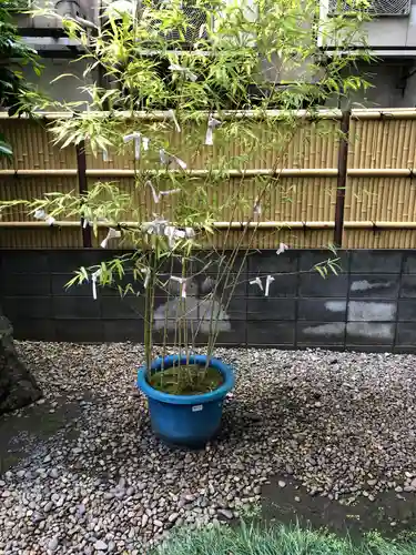 飯倉熊野神社の自然