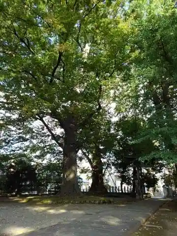 北野天満社の庭園