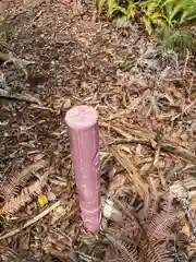 河上神社の自然