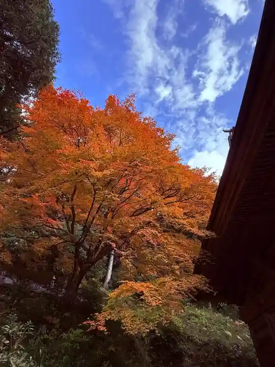 萬徳寺(福井県)