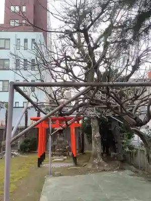 縣神社の鳥居