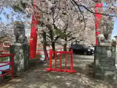 御嶽山 白龍神社の狛犬